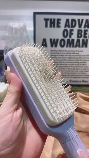 4 In 1 Self Cleaning Hair Brush Comb